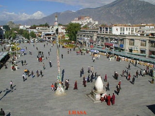 LHASA 