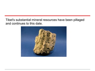 Tibet's substantial mineral resources have been pillaged
and continues to this date.
 