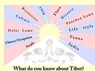 Do something Tibetan
 