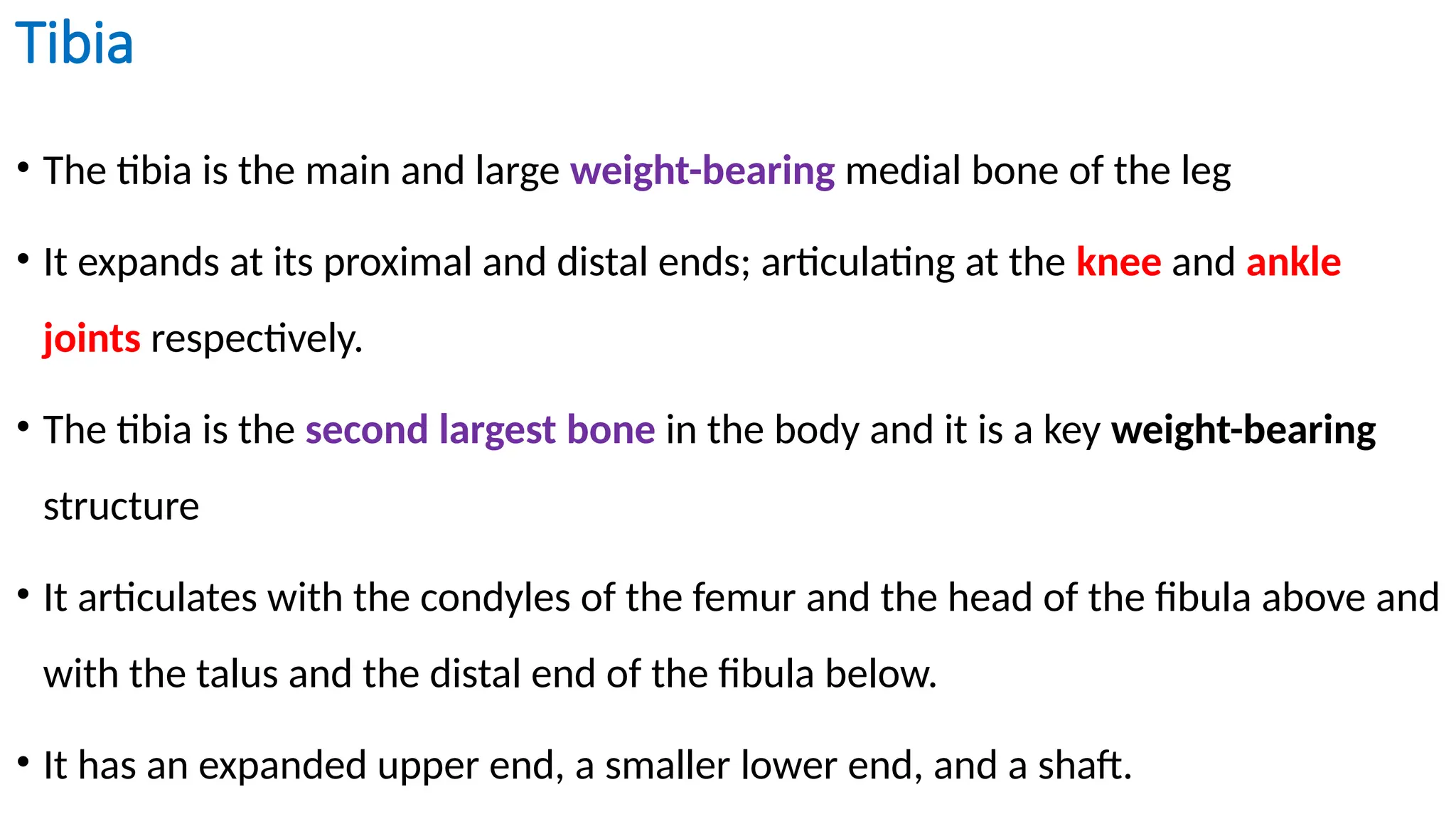 Tibia and Fibula p2.pptx . . . . . . . . . | PPTX