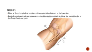 Longitudinal Incision Leg Proximal Tibia Surgical approaches | PPTX