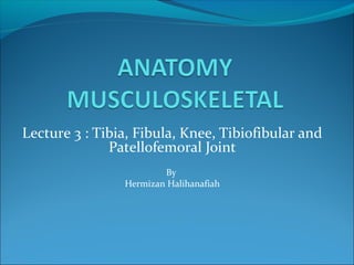 Lecture 3 : Tibia, Fibula, Knee, Tibiofibular and
Patellofemoral Joint
By
Hermizan Halihanafiah
 