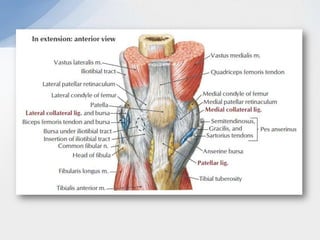Tibial plateau fractures | PPTX