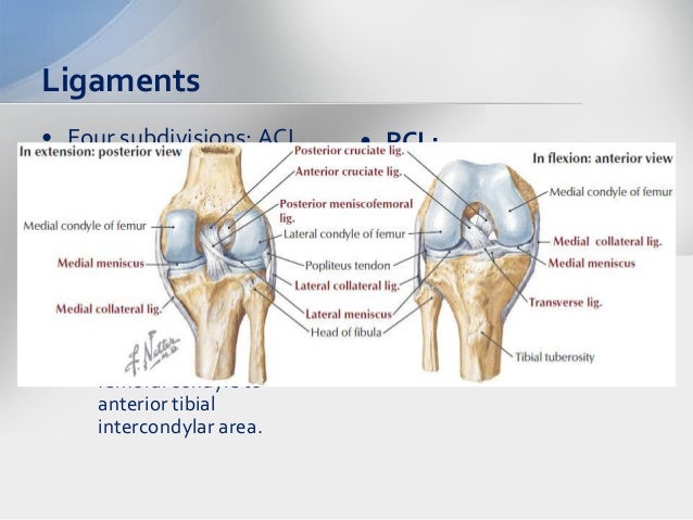 Tibial plateau fractures