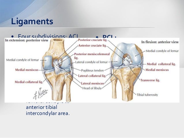 pdf access to medicine