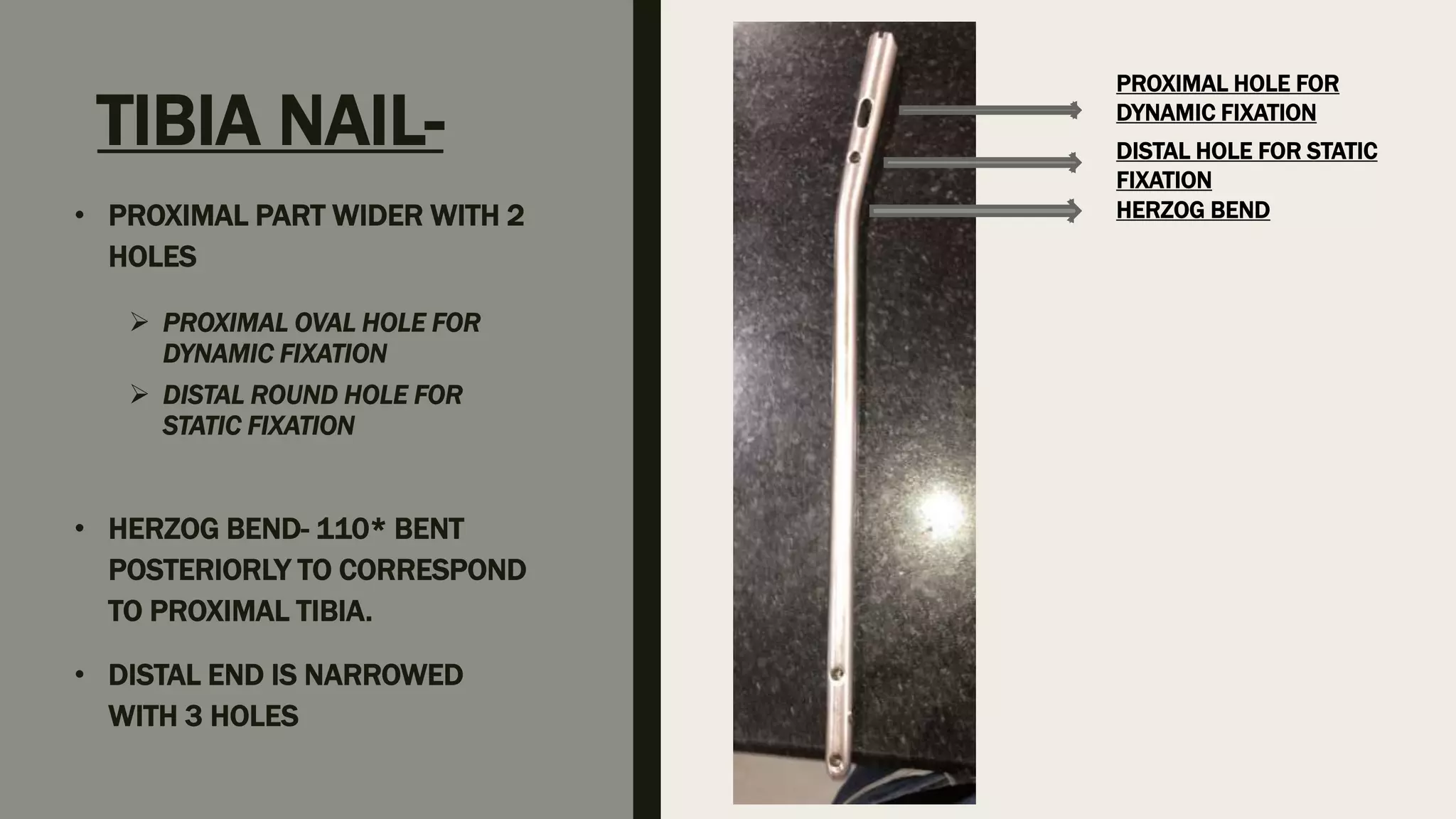 TIBIA NAIL-
• PROXIMAL PART WIDER WITH 2
HOLES
 PROXIMAL OVAL HOLE FOR
DYNAMIC FIXATION
 DISTAL ROUND HOLE FOR
STATIC FIXATION
• HERZOG BEND- 110* BENT
POSTERIORLY TO CORRESPOND
TO PROXIMAL TIBIA.
• DISTAL END IS NARROWED
WITH 3 HOLES
HERZOG BEND
PROXIMAL HOLE FOR
DYNAMIC FIXATION
DISTAL HOLE FOR STATIC
FIXATION
 