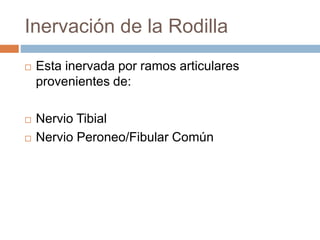 Tibia Rot Articulacion de la rodilla | PPTX