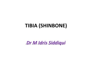TIBIA (SHINBONE)
Dr M Idris Siddiqui
 