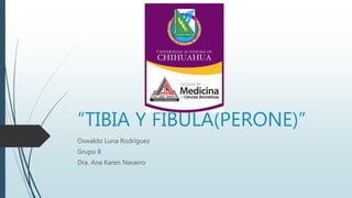 “TIBIA Y FIBULA(PERONE)”
Oswaldo Luna Rodríguez
Grupo 8
Dra. Ana Karen Navarro
 
