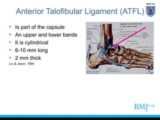 Atfl Function Tibiofibular and ankle joint complex | PPT