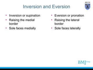 Tibiofibular and ankle joint complex | PPT