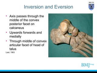Tibiofibular and ankle joint complex | PPT