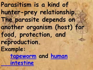 Parasitism is a kind of
hunter-prey relationship.
The parasite depends on
another organism (host) for
food, protection, and
reproduction.
Example:
tapeworm and human
intestine