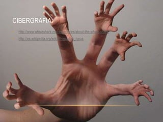 CIBERGRAFIA:
•   http://www.whaleshark-mexico.com/es/about-the-whale-shark/
•   http://es.wikipedia.org/wiki/Rhincodon_typus
 