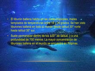 • El tiburón ballena habita en las zonas tropicales, mares
  templados de temperaturas entre 18 y 30 grados. Se han visto
  tiburones ballena en todo el mundo desde latitud 30* norte
  hasta latitud 35* sur.
• Suele permanecer dentro de los ±30° de latitud, y a una
  profundidad de 700 metros. La mayor concentración de
  tiburones ballena en el mundo se encuentra en Filipinas.
 