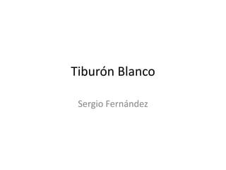 Tiburón Blanco
Sergio Fernández
 
