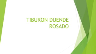 TIBURON DUENDE
ROSADO
 