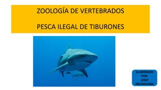 ZOOLOGÍA DE VERTEBRADOS
PESCA ILEGAL DE TIBURONES
ELABORADO
POR:
LESLY
PACHACAMA
 