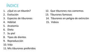 ÍNDICE
1. ¿Qué es un tiburón? 12. Que tiburones nos comemos
2. Evolución 13. Tiburones famosos
3. Especies de tiburones 14. Tiburones en peligro de extinción
4. Hábitat 15. Videos
5. Anatomía
6. Dieta
7. Su piel
8. Tipos de dientes
9. Reproducción
10. Vida
11. Mis tiburones preferidos
 