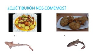 ¿QUÉ TIBURÓN NOS COMEMOS?
P C
 