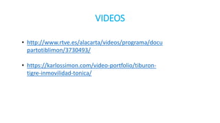 VIDEOS
• http://www.rtve.es/alacarta/videos/programa/docu
partotiblimon/3730493/
• https://karlossimon.com/video-portfolio/tiburon-
tigre-inmovilidad-tonica/
 