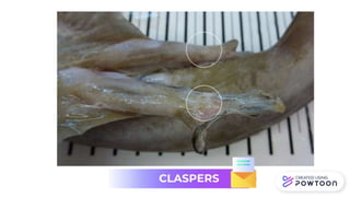 Zoología de Vertebrados