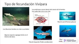 Zoología de Vertebrados