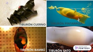 Zoología de Vertebrados