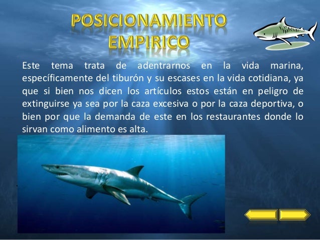 Tiburones bcs