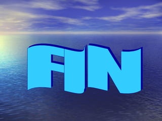 FIN 