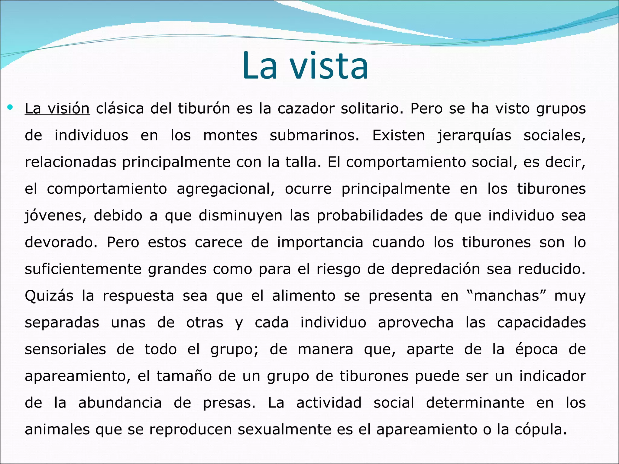 La vista La visión  clásica del tiburón es la cazador solitario. Pero se ha visto grupos de individuos en los montes submarinos. Existen jerarquías sociales, relacionadas principalmente con la talla. El comportamiento social, es decir, el comportamiento agregacional, ocurre principalmente en los tiburones jóvenes, debido a que disminuyen las probabilidades de que individuo sea devorado. Pero estos carece de importancia cuando los tiburones son lo suficientemente grandes como para el riesgo de depredación sea reducido. Quizás la respuesta sea que el alimento se presenta en “manchas” muy separadas unas de otras y cada individuo aprovecha las capacidades sensoriales de todo el grupo; de manera que, aparte de la época de apareamiento, el tamaño de un grupo de tiburones puede ser un indicador de la abundancia de presas. La actividad social determinante en los animales que se reproducen sexualmente es el apareamiento o la cópula.  