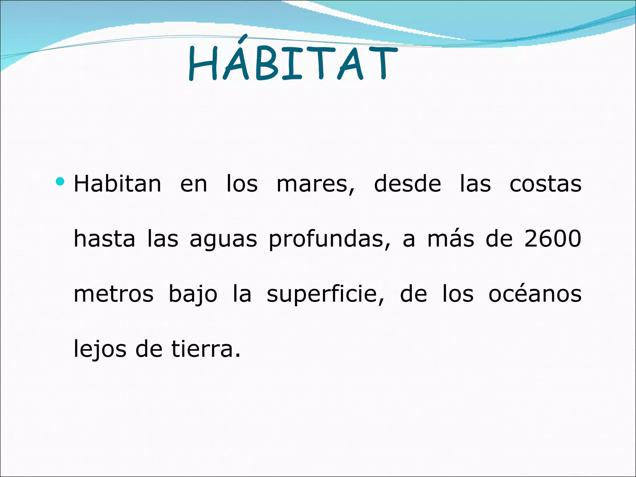 Habitan en los mares, desde las costas hasta las aguas profundas, a más de 2600 metros bajo la superficie, de los océanos lejos de tierra.  HÁBITAT 