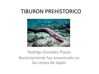 TIBURON PREHISTORICO




     Rodrigo Gonzales Piazza
Recientemente fue encontrado en
       las costas de Japón
 