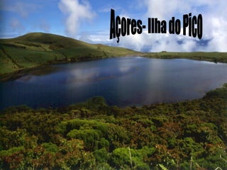 Açores- Ilha do Pico 