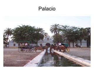 Palacio 