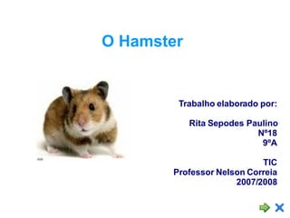 O Hamster Trabalho elaborado por: Rita Sepodes Paulino Nº18 9ºA TIC Professor Nelson Correia 2007/2008 