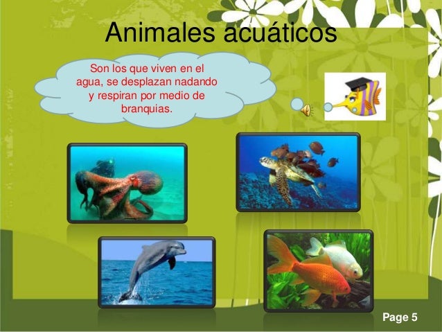 Clasificación de los animales según su medio