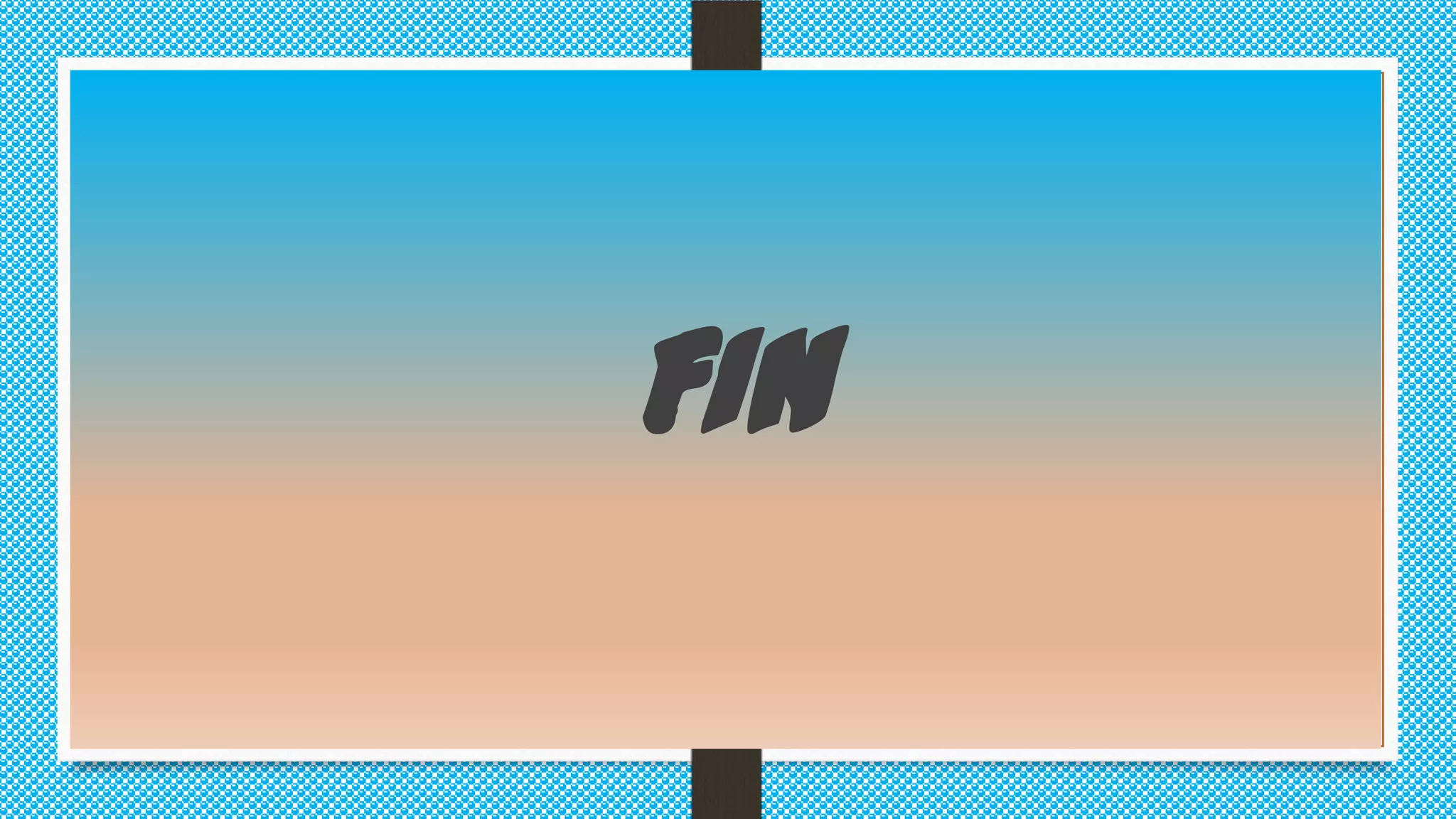 FIN