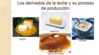 Los derivados de la leche y su proceso
de producción:
QUESO
MANTECA
YOGURT
DULCE DE LECHE
 
