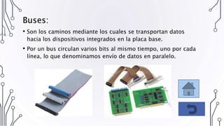 Buses:
• Son los caminos mediante los cuales se transportan datos
hacia los dispositivos integrados en la placa base.
• Por un bus circulan varios bits al mismo tiempo, uno por cada
línea, lo que denominamos envío de datos en paralelo.
 