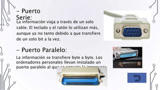 - Puerto
Serie:
La información viaja a través de un solo
cable. El teclado y el ratón lo utilizan más,
aunque ya no tanto debido a que transfiere
de un solo bit a la vez.
- Puerto Paralelo:
La información se transfiere byte a byte. Los
ordenadores personales llevan instalado un
puerto paralelo al que se conecta la impresora.
 
