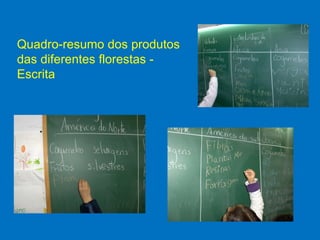 Quadro-resumo dos produtos
das diferentes florestas -
Escrita
 