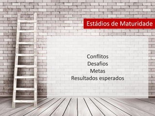 Estádios de Maturidade 
Conflitos 
Desafios 
Metas 
Resultados esperados 
 