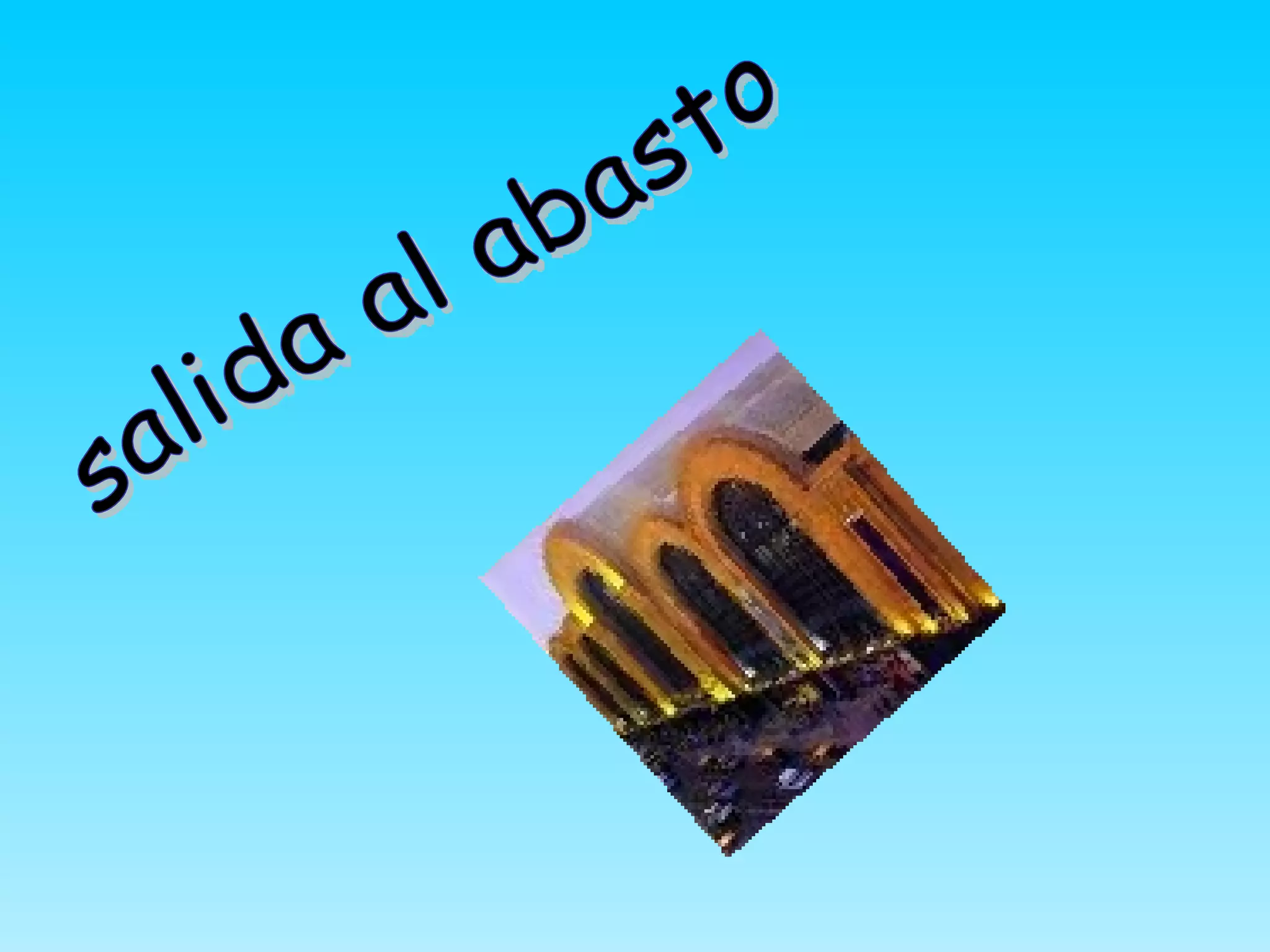 salida al abasto