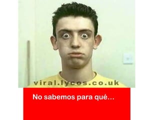 No sabemos para qué…
 