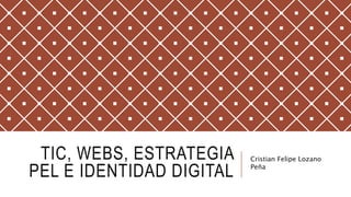 TIC, WEBS, ESTRATEGIA
PEL E IDENTIDAD DIGITAL
Cristian Felipe Lozano
Peña
 