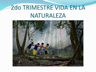 2do TRIMESTRE VIDA EN LA
NATURALEZA
 