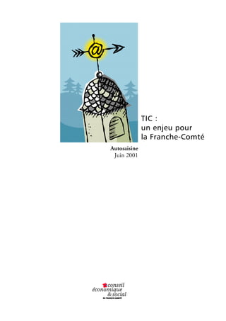 TIC : 
un enjeu pour 
la Franche-Comté 
Autosaisine 
Juin 2001 
 