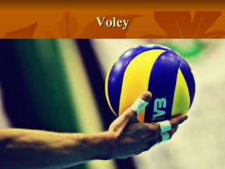 VoleyVoley
 