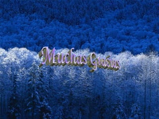 Ponente: Gutiérrez Cruz Muchas Gracias